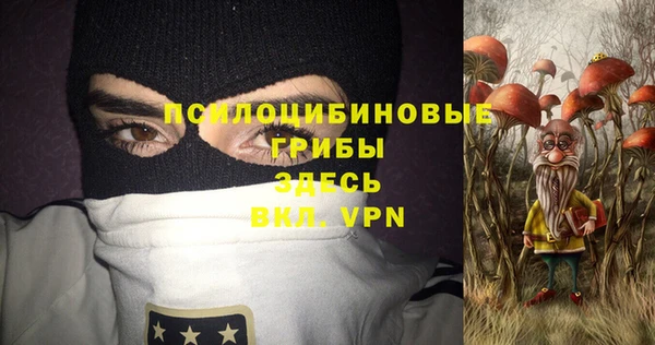 метадон Белокуриха