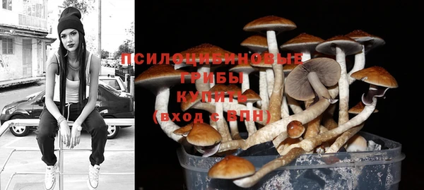 ALPHA PVP Беломорск