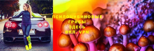 метадон Белокуриха