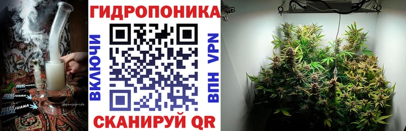 Купить где  Михайловск  Бошки марихуана тримм 